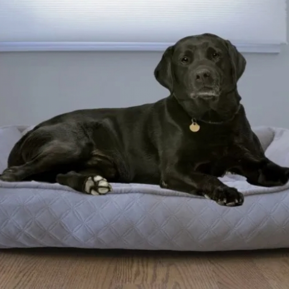 Arlee Cuddler Lounger and Cuddler Pet Bed, Large/X-Large, Cobbleston